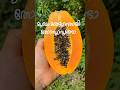 Just for your skin #papaya #healthyskin #healthyfood