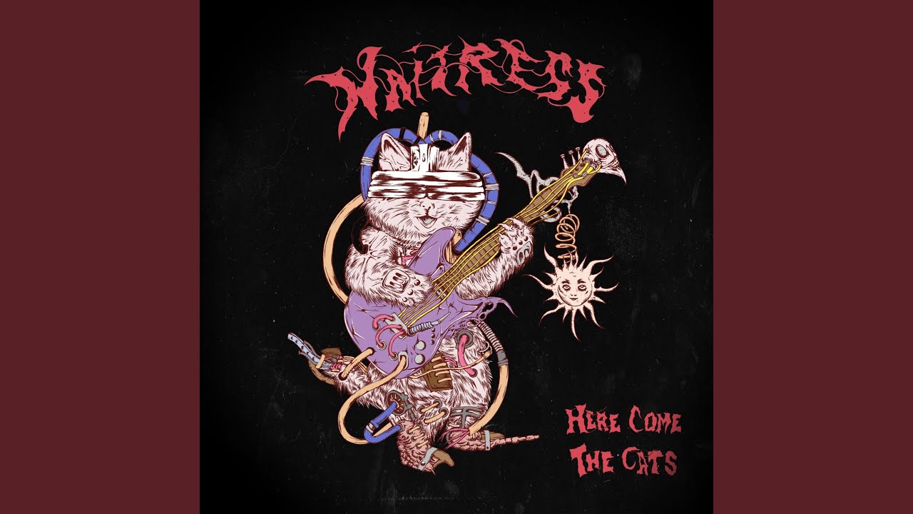 Watch Here Come The Cats on YouTube Watch Here Come The Cats on YouTube