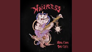 Here Come The Cats