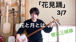 長唄三味線「花見踊」花と月とは 3/7【稽古三味線で演奏】