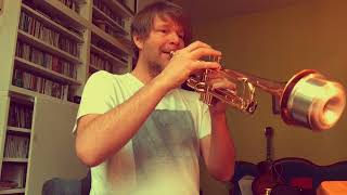 I practiced trumpet for one year. Here's the result :-)