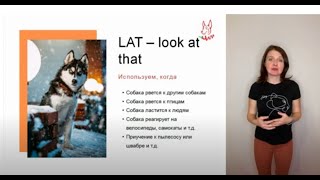 : LAT