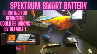 SPEKTRUM SMART BATTERY CHARGING FOR BEGINNERS