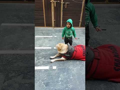 Aiden with Gucci