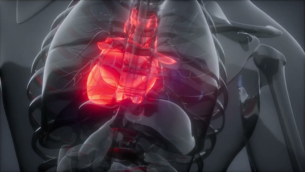 ULTRA COMPLEX SPOT KRVINKY ENG