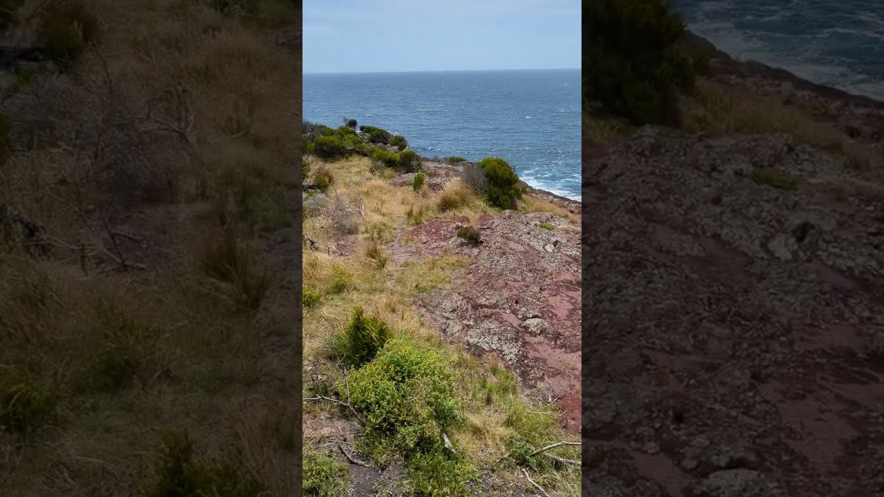 Beowa National Park a