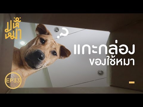 แกะกล่อง ของใช้หมาจากจีน ! มหึหมา EP33