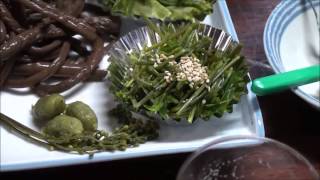 A Mountain Vegetable Restaurant in Japan by Tom Hayes 1,399 views 10 years ago 6 minutes, 19 seconds