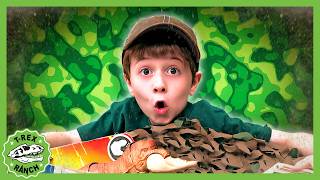 dinosaurs escape california special finale 30 mins t rex