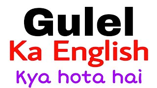 GULEL ko english mein kya kahate hain | gulel ka english kya hota hai