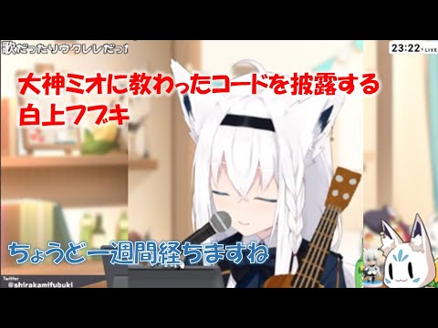 大神ミオに教わったコードを披露する白上フブキ【白上フブキホロライブ切り抜き】