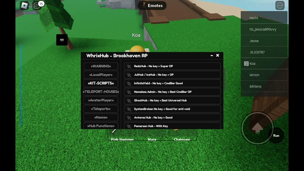 Roblox Fe Script Showcase (WhrixHub Brookhaven) - YouTube