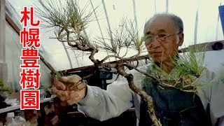 Make the literary style red pine into a gin and make it even