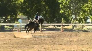 BROOKSIDE SPLASH - Abby and Amigo - jump off