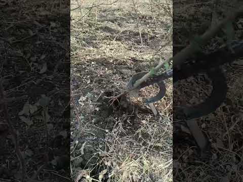 agriculture tools #agriculture