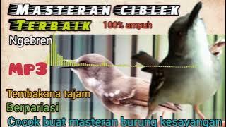 MP3 MASTERAN CIBLEK TERBAIK NGEBREN TEMBAKAN TAJAM BERPARIASI ( untuk semua burung)