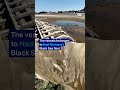 WWII Nazi-era warships emerge as Danube dries up | DW News