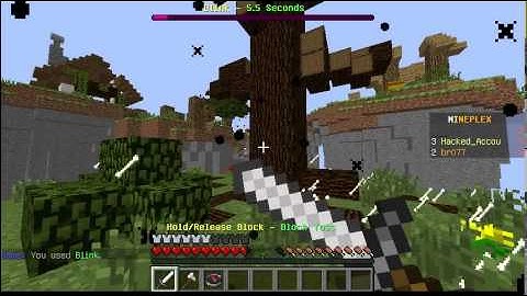 【Minecraft】Mineplex Hacker Report #307 - br077