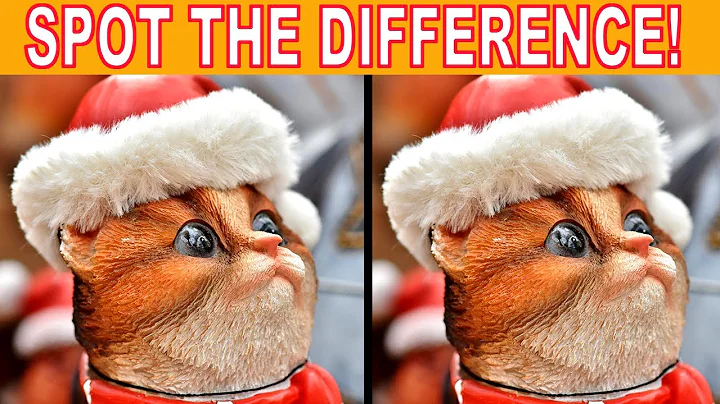 Photo Puzzles | Christmas Picture Puzzle Game | Can You Spot all the Difference? | Brain Games