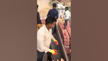 V shape interlock tile #youtube2023 #interlocking #labh_trading_company