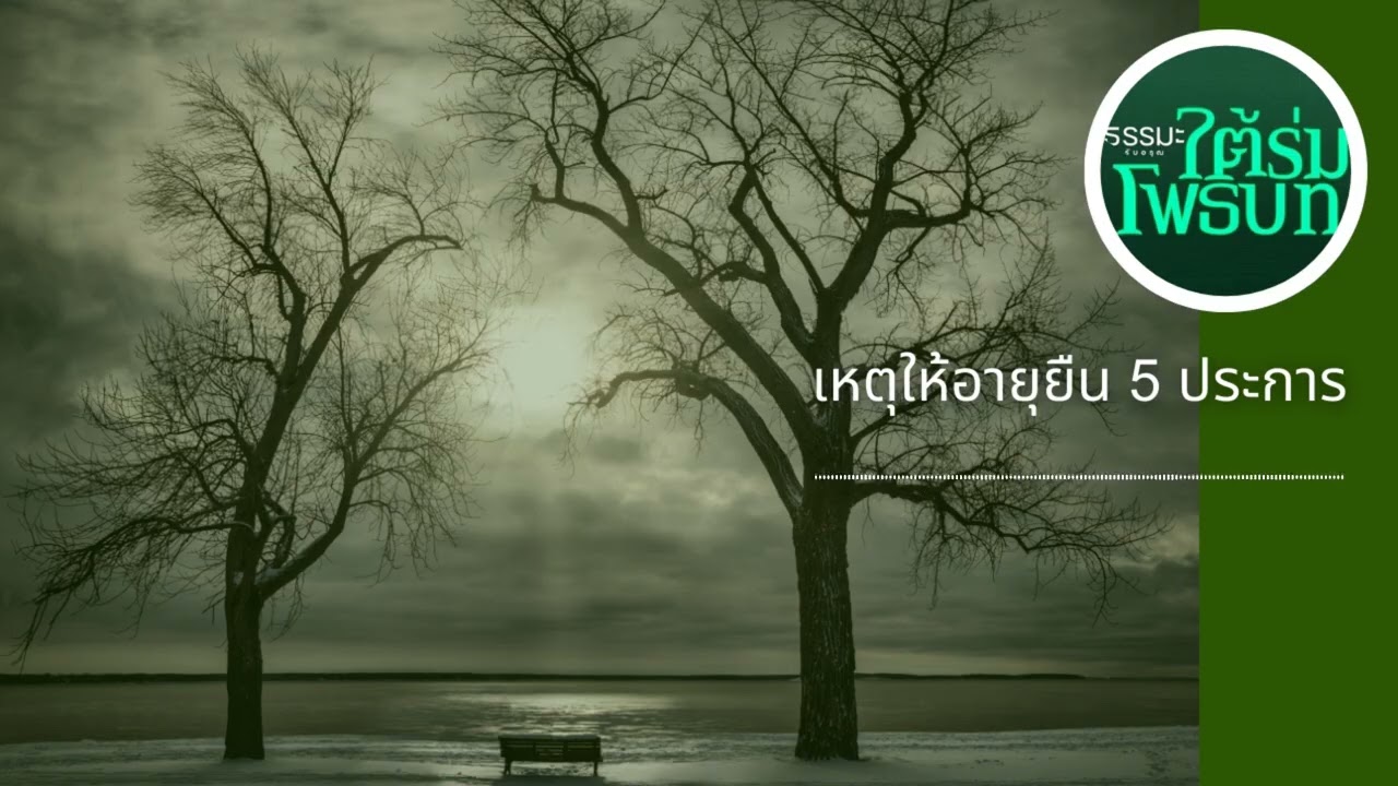 เหตุให้อายุยืน 5 ประการ [6907-3d]