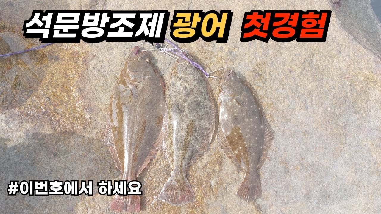 석문방조제 광어낚시 밑걸림 적고 초보자도 잡을수 있는곳