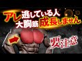 【胸トレ】大胸筋をデカくしたいならこれをやれ！胸全体に効かせるための種目