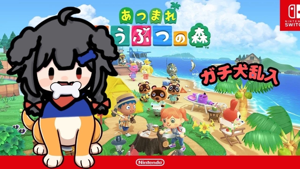 復帰前後ちょっとだけね(2026/2/27)