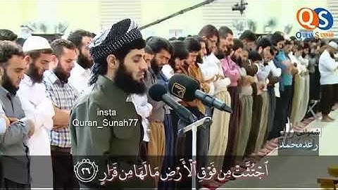 ارح مسمعك تلاوه خاشعه رعد الكردي