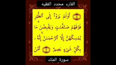 القارئ محمد الفقيه #القرآن_الكريم #quran #سورة_البقرة