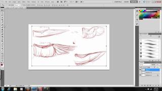 Art of Wings - Part I  The Anatomy of Bird Wings: Kyria Dori