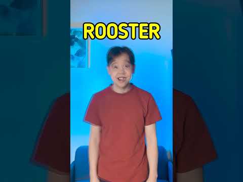 WOW! He Turns Into an Animal?! 🐶🦁🦉 Kids Fun #learning