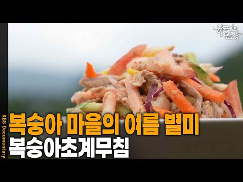 [한국인의 밥상] 복숭아 마을의 여름 별미, ‘복숭아초계무침’  | KBS 260813 방송