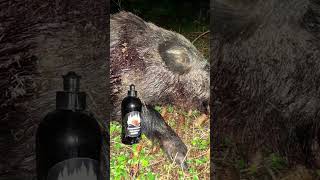 Wildlockmittel Pansen? www.schwarzwaldwaesserle.de #shorts #jäger #jagd #jagen #wildschwein