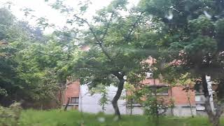 1070702 跟雄獅旅遊 雪霸觀霧之旅(5)