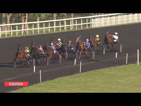 Guillermo Sport - Prix des Bégonias - Paris-Vincennes - 25/12/2018 - Guillermo Sport - Prix des Bégonias - Paris-Vincennes - 25/12/2018