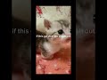 please don't like this