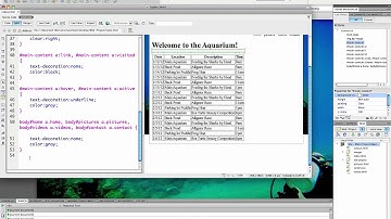 (15/41) HTML Table Styling Part 1