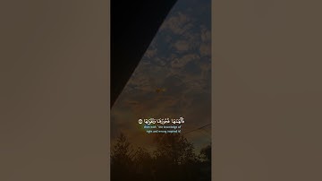 #تلاوات #قرآن #لايك #اكسبلور #العراق #السعودية #الجزائر #المغرب