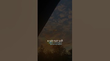 #تلاوات #قرآن #لايك #اكسبلور #العراق #السعودية #الجزائر #المغرب