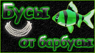 :    GloFish.      .