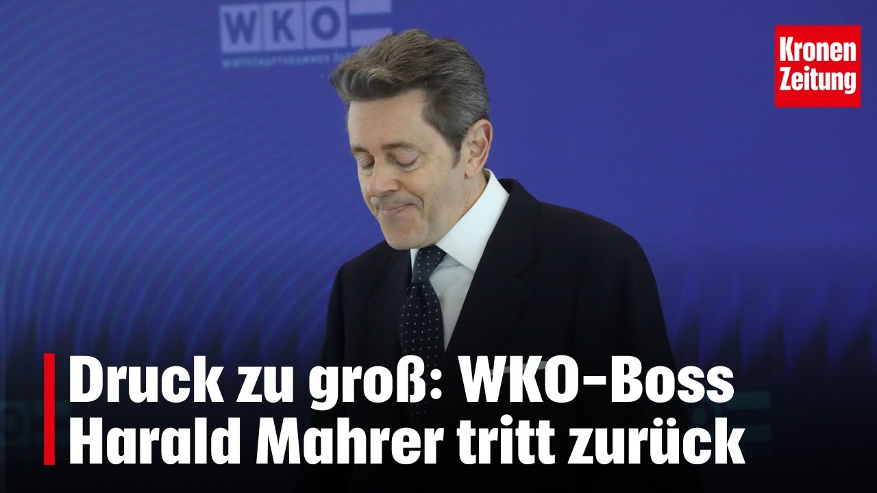Druck zu groß: WKO-Boss Harald Mahrer tritt zurück | krone.tv NEWS