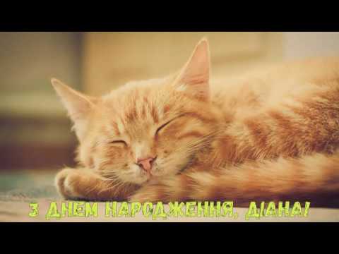 З днем народження Діана - музичне привітання!