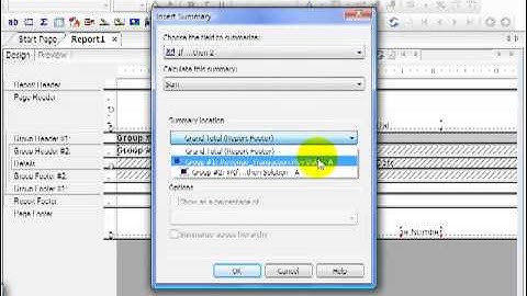 60 Crystal ReportsXI  Fields Dimensions Metrics 2    Conditional Formula Solution 1 pt  2