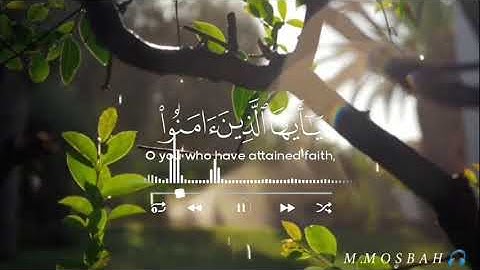 إن الله وملائكته يصلون على النبي 🎧🤍🌿 || حالات واتس اب دينيه 😍 || تلاوة هادئة تريح القلب والعقل💙