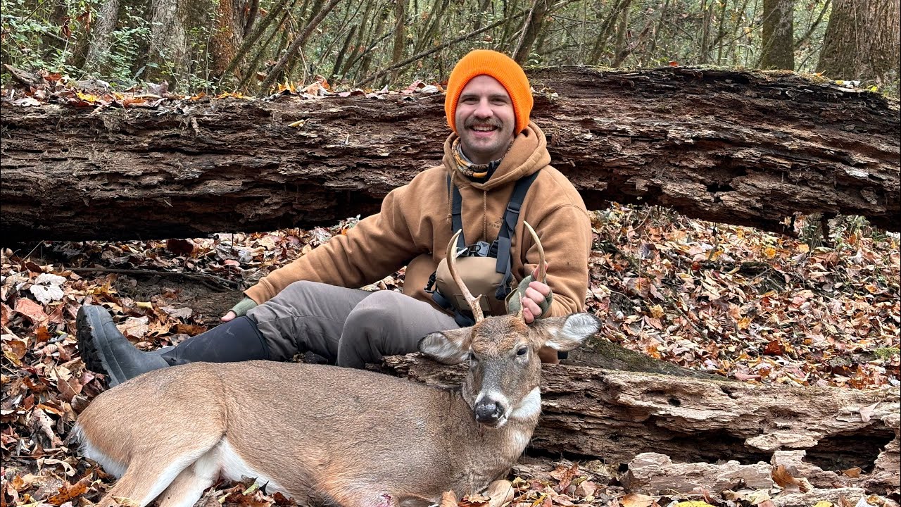 Deer Kill 14 Filmed with IPhone 15 and Fourth Arrow Baton YouTube