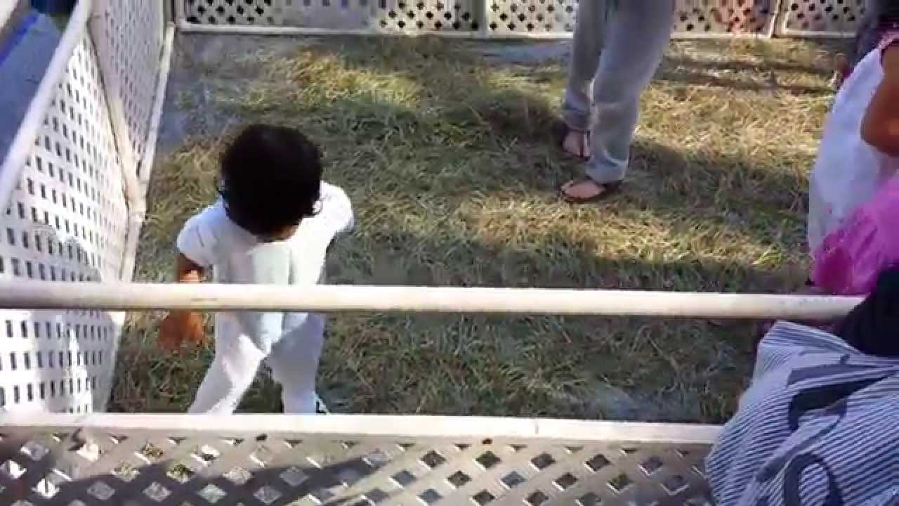 04/19/14 - Easter Activity at Fundamentally Toys