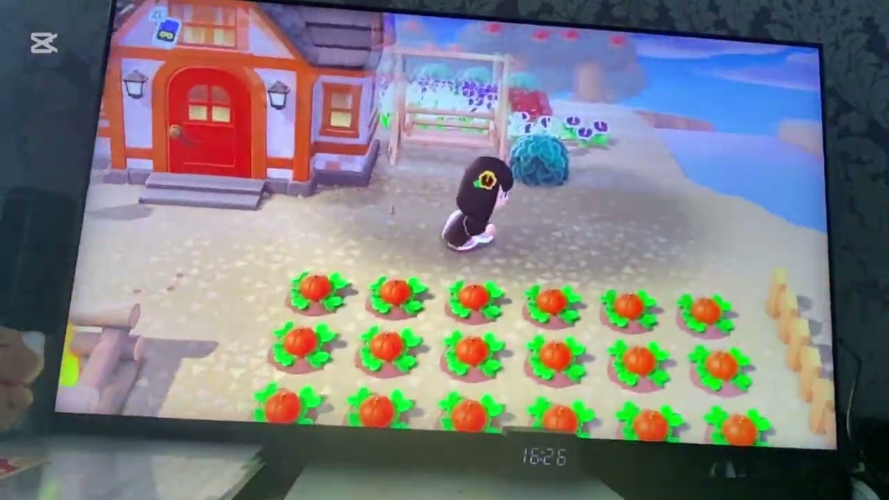 在動森過生日的一天🎉#互訂 #互讚 # #我要上热门 #動森 #switch #遊戲 #動物森友會 