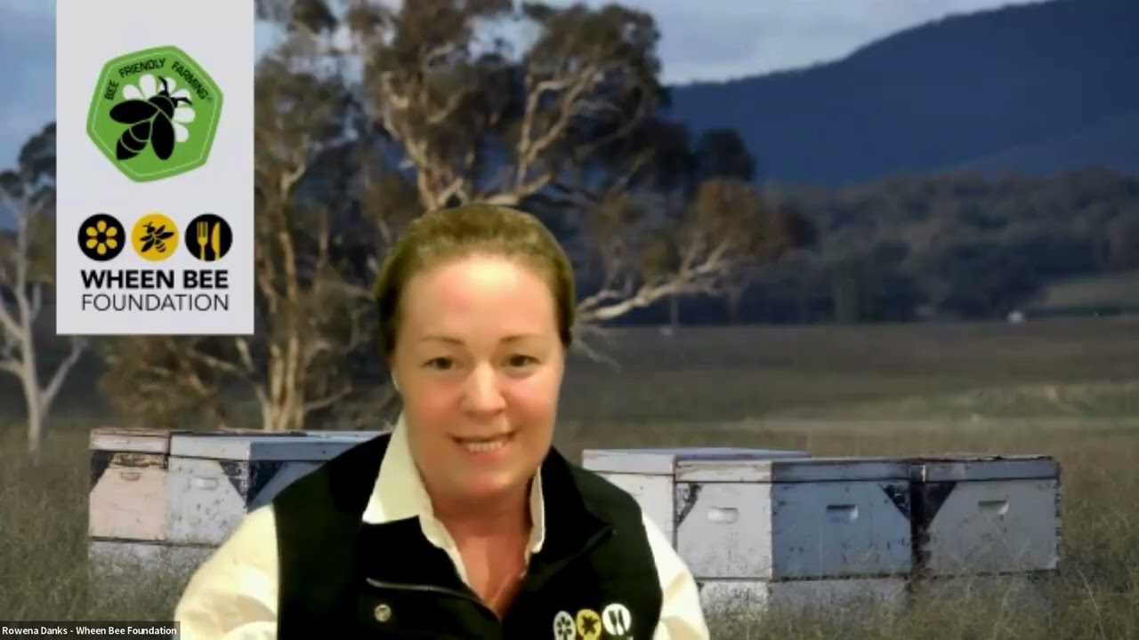 Pollinator Photography Competition webinar 2025