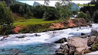 flow nest asmr